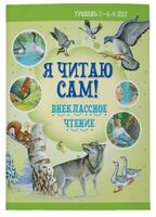 Внеклассное чтение