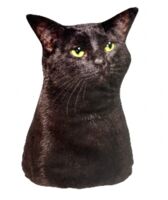 Мягкая игрушка "Кот невнимательно слушает" (30 см)