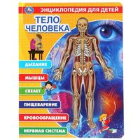 Тело человека