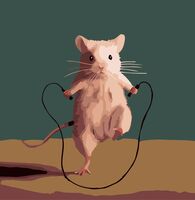 Картина по номерам "Как попрыгаем" (200х200 мм)