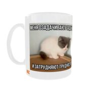 Кружка "Меня озадачивают задачи"