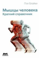 Мышцы человека. Краткий справочник
