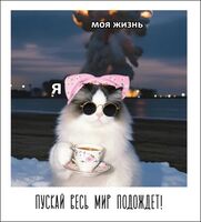 Открытка "Пускай весь мир подождет"