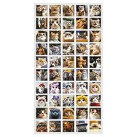 Набор наклеек "Cats"