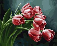 Картина по номерам "Склонившие головы тюльпаны" (400х500 мм)