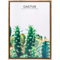 Картина интерьерная "Kaktus" (30х40 см)