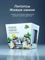 Набор для выращивания "Магия цветов. Литопсы микс. Живые камни"