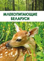 Млекопитающие Беларуси
