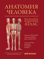 Анатомия человека: атлас