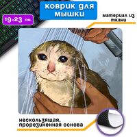 Коврик для мыши "Кот в душе"