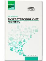 Бухгалтерский учет. Практикум