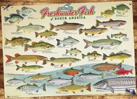 Пазл "Пресноводные рыбы Северной Америки" (1000 элементов)