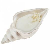 Свеча декоративная "Ракушка-2"