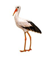 Брошь "Аист" (цветная в золоте)