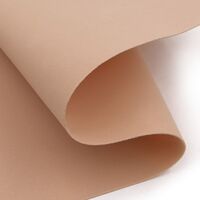 Фоамиран (20х30 см; слоновая кость; 10 листов)