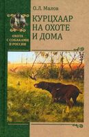 Курцхаар на охоте и дома