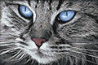 Алмазная вышивка-мозаика "Голубоглазый кот" (300х200 мм)
