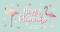 Планер " Happy Flamingo" (А6)