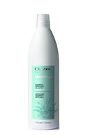 Шампунь для волос "Sublime Fruit Hydrating Shampoo With Milk" (1 л)