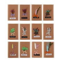 Открытка "Флористическая композиция"