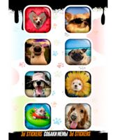 Набор 3D наклеек "Собаки мемы #2"