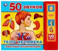 Тело человека