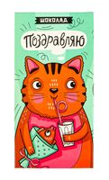 Шоколад молочный "Котик" (90 г)