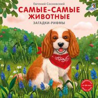 Загадки – рифмы. Самые-самые животные