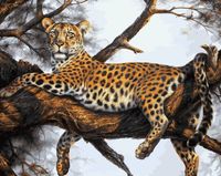 Картина по номерам "Леопард на отдыхе" (400х500 мм)