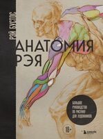 Анатомия Рэя. Большое руководство по рисунку для художников