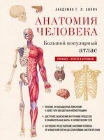 Анатомия человека. Большой популярный атлас