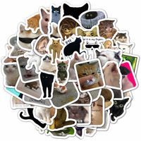 Набор виниловых наклеек "Cat meme"
