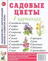Садовые цветы в картинках