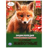 Фгос энциклопедия с развивающими заданиями автомобили. Смотреть фото Фгос энциклопедия с развивающими заданиями автомобили. Смотреть картинку Фгос энциклопедия с развивающими заданиями автомобили. Картинка про Фгос энциклопедия с развивающими заданиями автомобили. Фото Фгос энциклопедия с развивающими заданиями автомобили