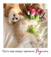 Открытка "Пусть мир вокруг приносит радость"