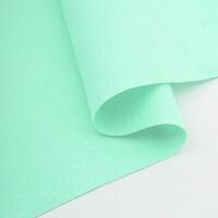 Фетр №36 (30х45 см; мятный; 10 листов)