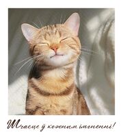 Паштоўка "Шчасце ў кожным імгненні"