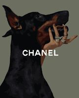 Картина по номерам "Chanel" (400х500 мм)