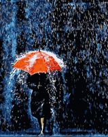 Картина по номерам "Под проливным дождём" (400х500 мм)