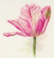 Вышивка крестом "Тюльпаны. Нежно-розовый" (220х260 мм)