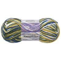 Пряжа "Карамель №03" (50 г; 80 м; секционный)