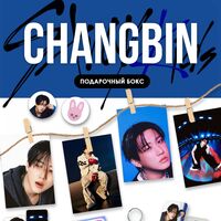 Подарочный набор "Чанбин. Stray kids Karma"