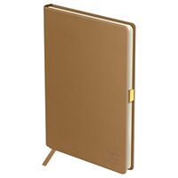 Ежедневник недатированный "Visvim. Taupe" (А5)