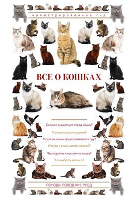 Книги про кошек на OZ.by, купить книгу о котах в Минске в интернет ...